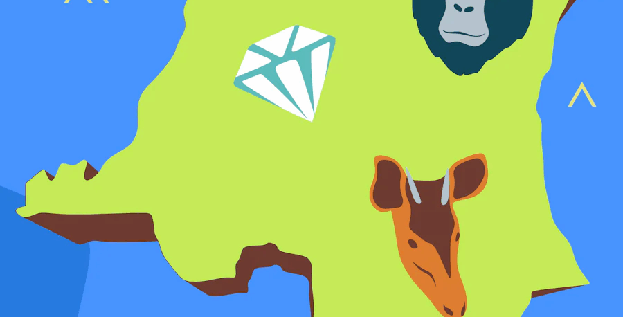 Much Ado about Congo