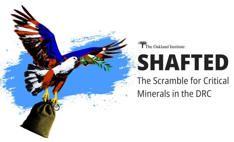 Environment: Birth of a new gorilla in Africa's oldest park