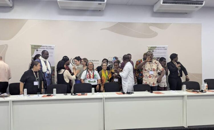 Congo Basin Fund: Mobilizing resources for the benefit of countries