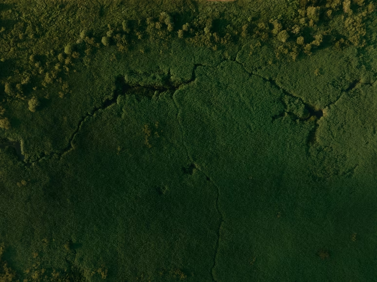 The Congo Basin: The Lungs of the World