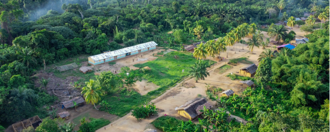 Cultivating Tomorrow: The Future of Agriculture in the DRC