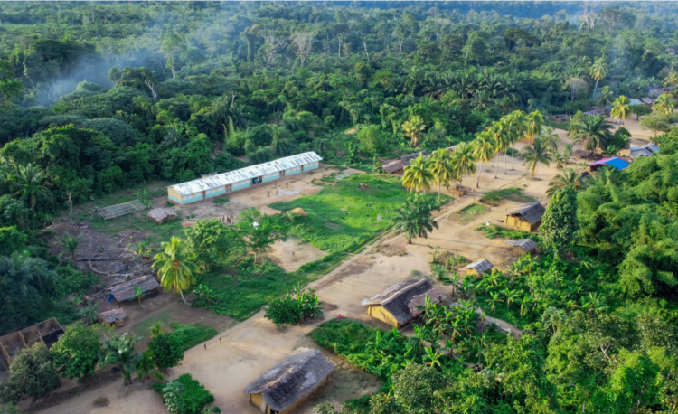 Cultivating Tomorrow: The Future of Agriculture in the DRC