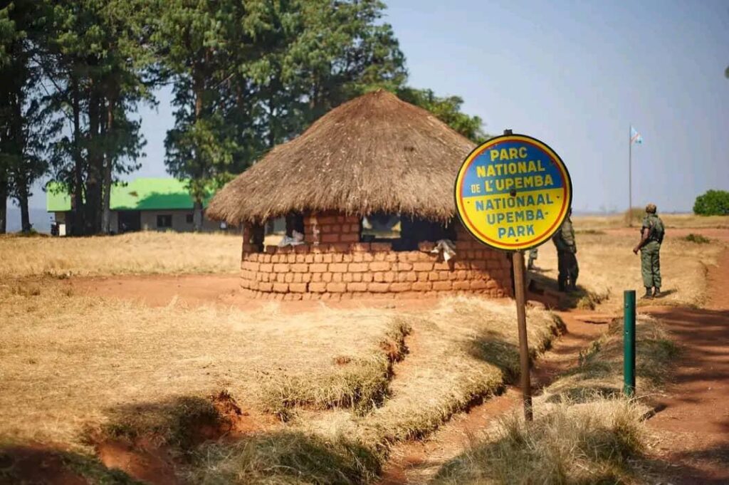 DRC: Upemba National Park targeted by armed men, heavy human losses reported