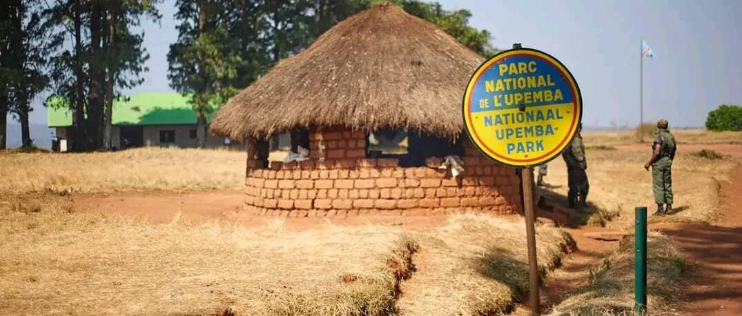 DRC: Upemba National Park targeted by armed men, heavy human losses reported