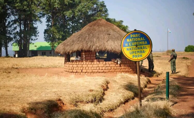 DRC: Upemba National Park targeted by armed men, heavy human losses reported
