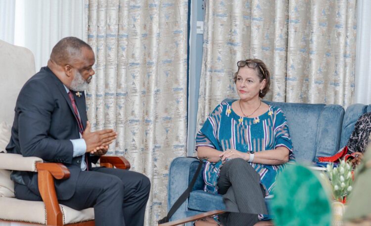 Goma: Exchange Between MONUSCO And M23 On Ceasefire, Kinshasa Agrees