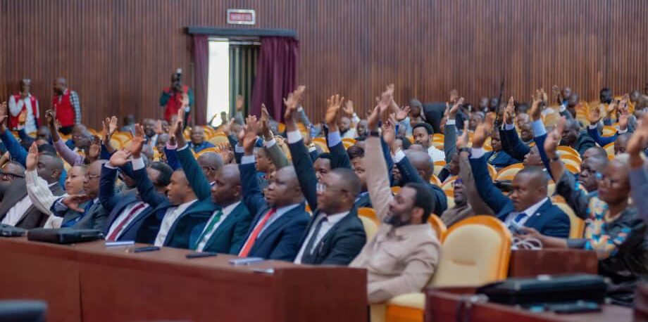 Withdrawal of the motion against the Minister of the Interior: when Parliament loses its independence
