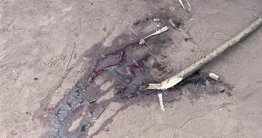 Beni: ADF forces cross the RN4 during a military counter-offensive, killing 21 civilians