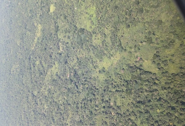 Caption: Sky view of the forest in Upemba park. Photo by Akilimali Chomachoma