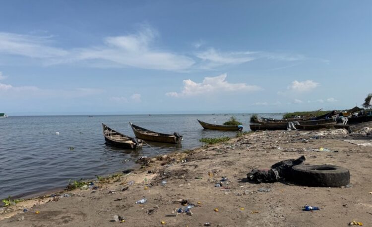The DRC adopts a new law on fisheries and aquaculture