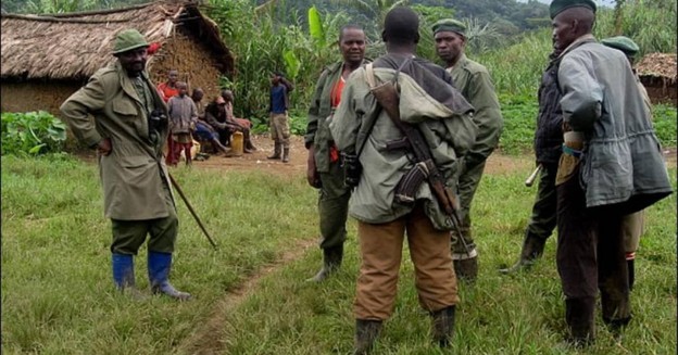 Disarmament of the FDLR: Kinshasa urged to draw up a precise timetable with MONUSCO