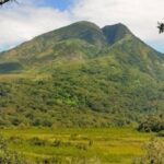 Kahuzi-Biega National Park threatened by bushfires