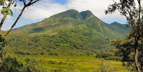 Kahuzi-Biega National Park threatened by bushfires